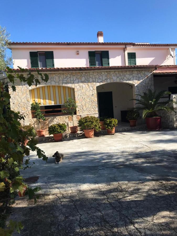 Villa Monica Appartamenti Vieste Exterior photo