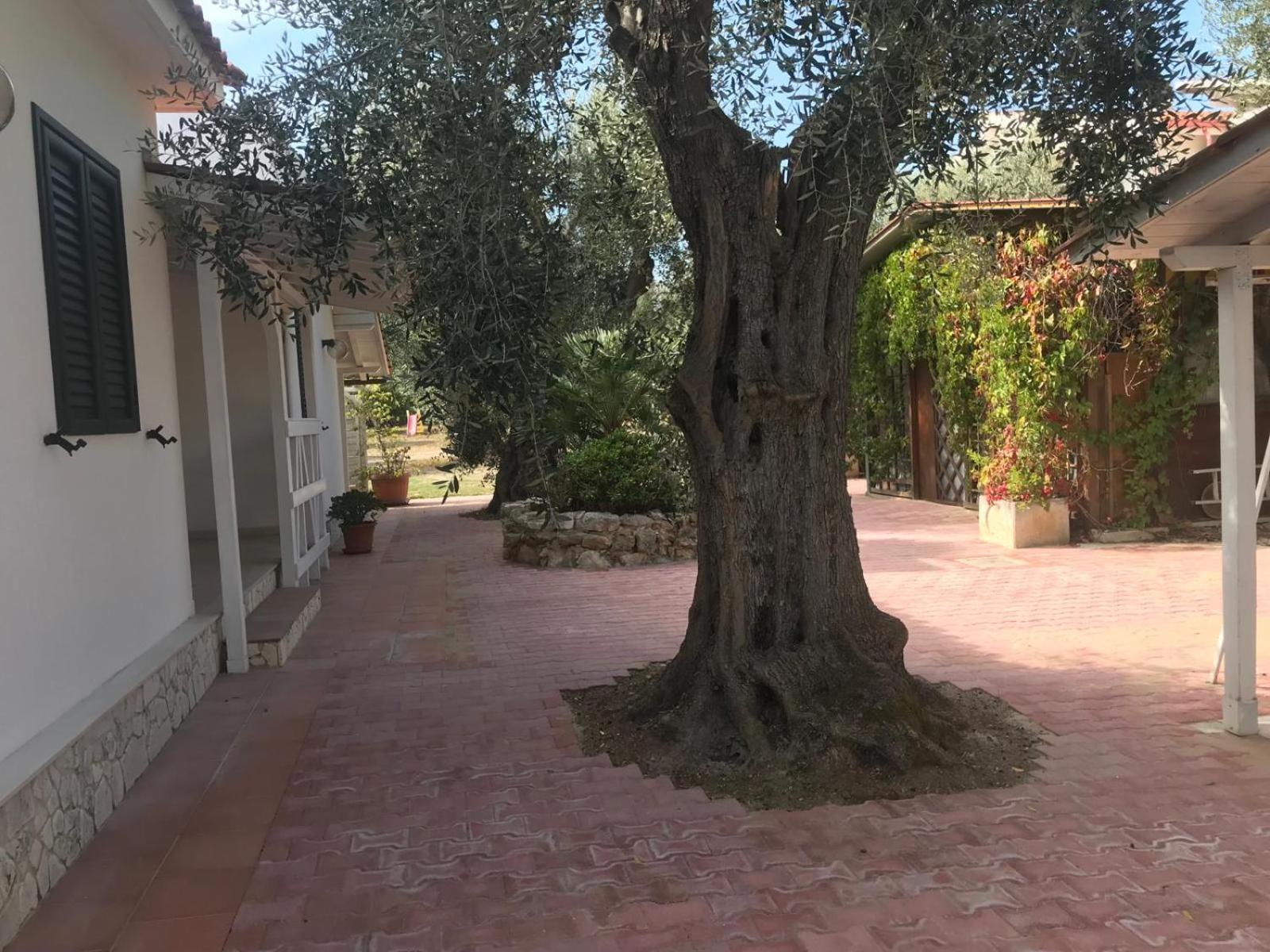 Villa Monica Appartamenti Vieste Exterior photo