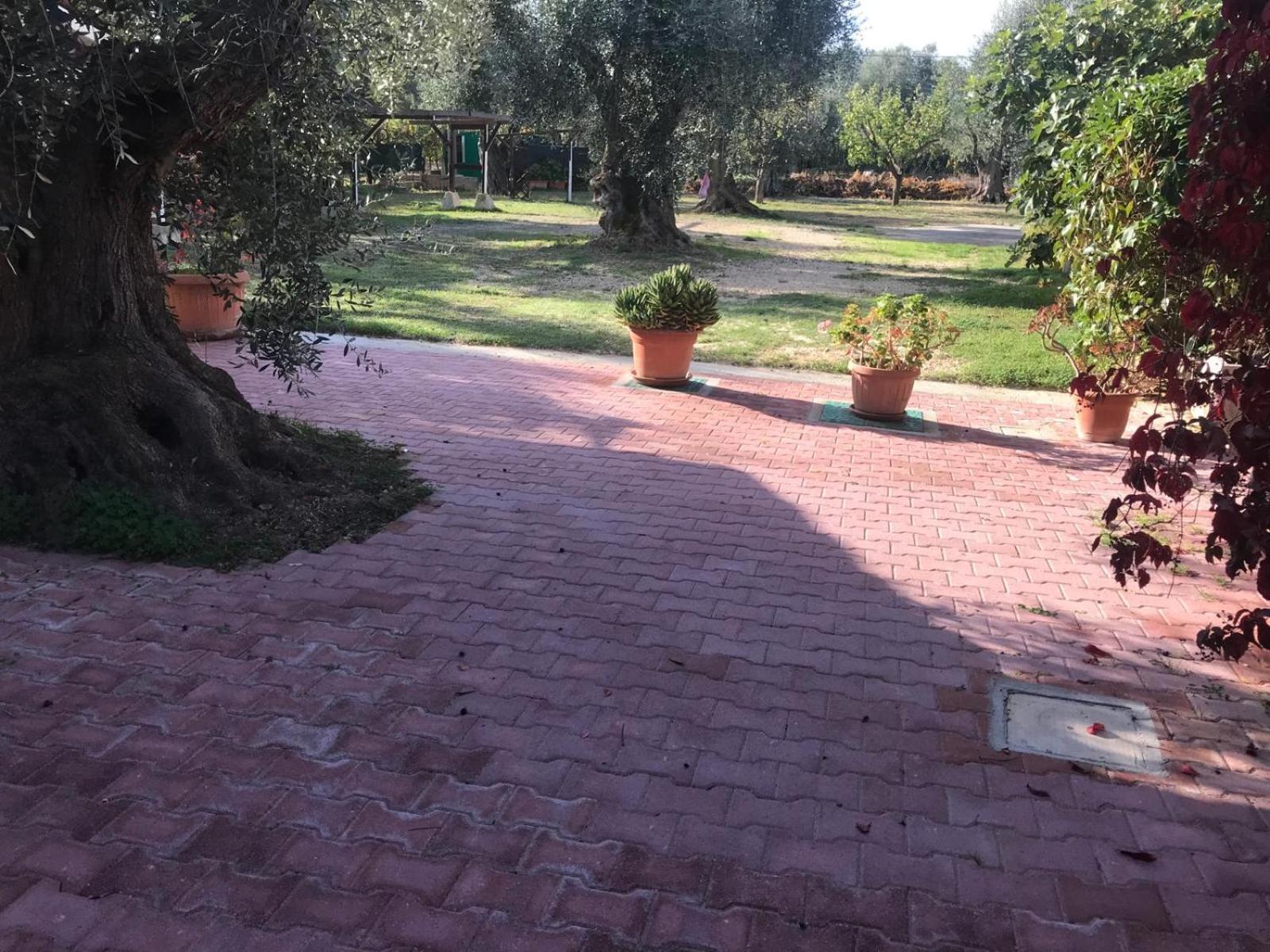 Villa Monica Appartamenti Vieste Exterior photo