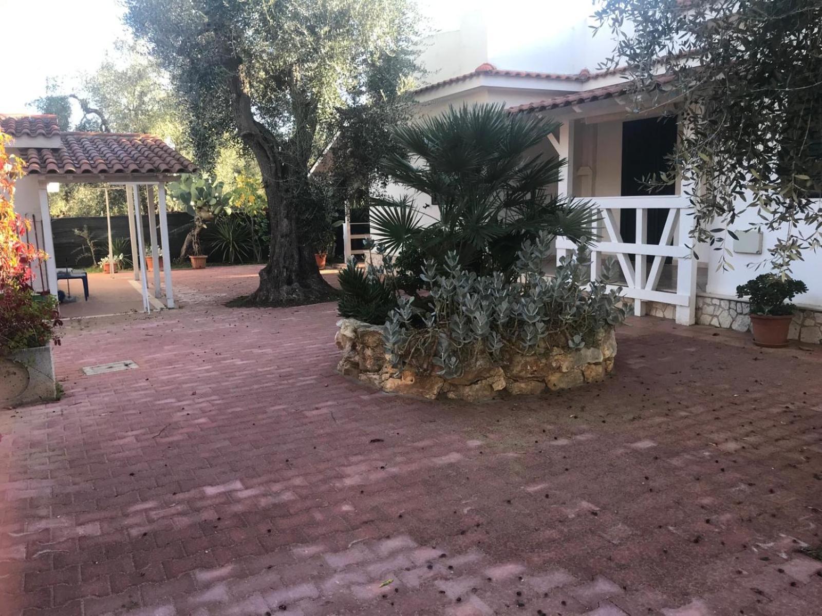 Villa Monica Appartamenti Vieste Exterior photo